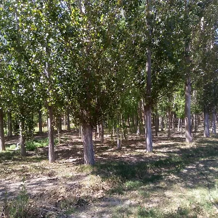 Cabana De Campo Secretos De La Naturaleza San Juan Exterior photo
