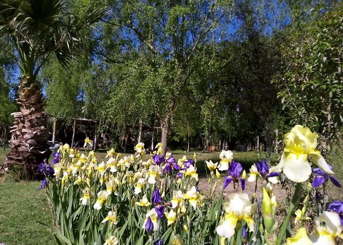 Cabana De Campo Secretos De La Naturaleza