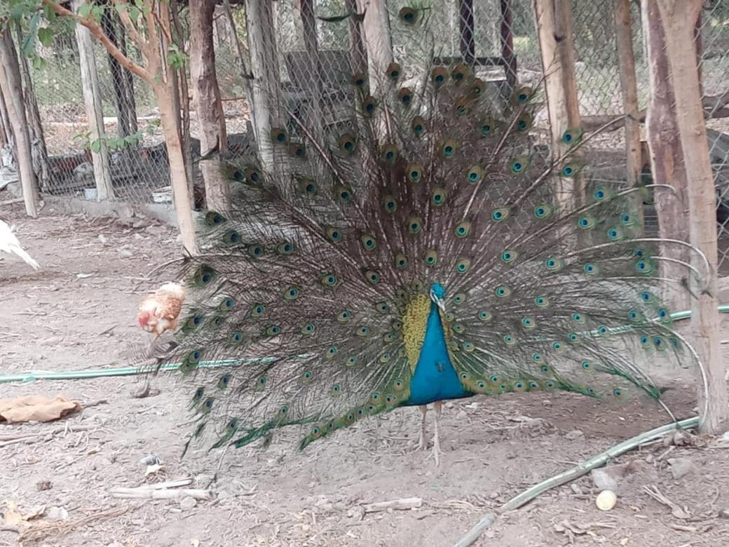 De Campo Secretos De La Naturaleza Holiday home