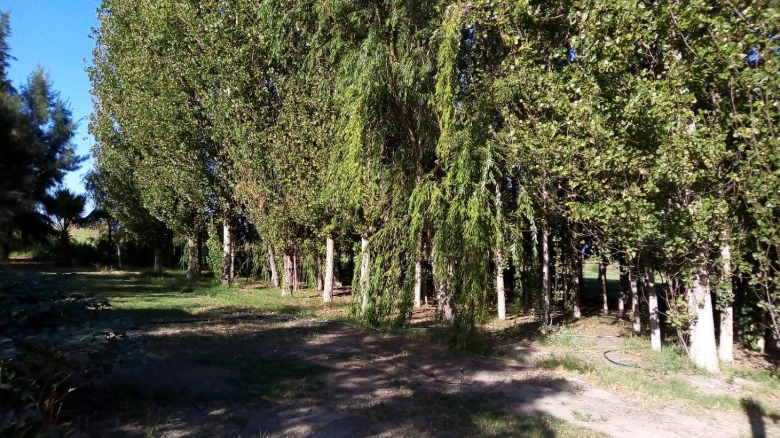 De Campo Secretos De La Naturaleza