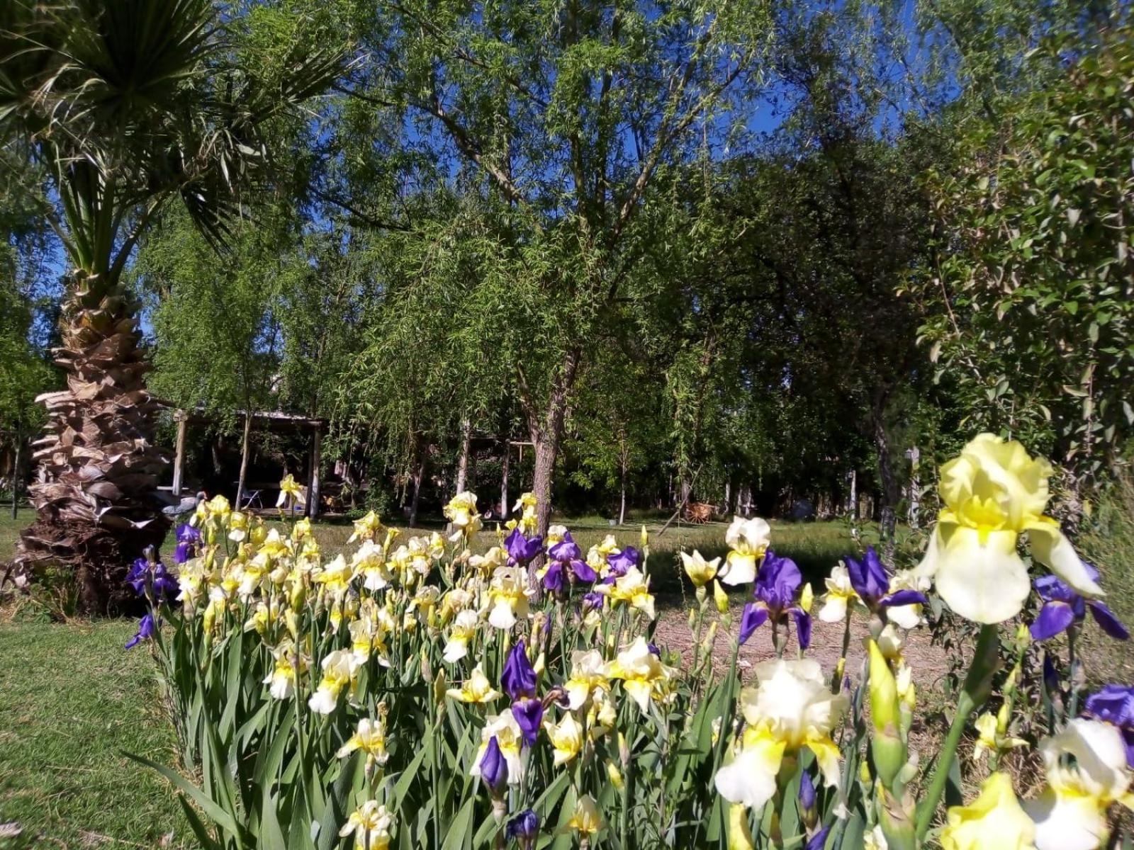 De Campo Secretos De La Naturaleza Holiday home San Juan