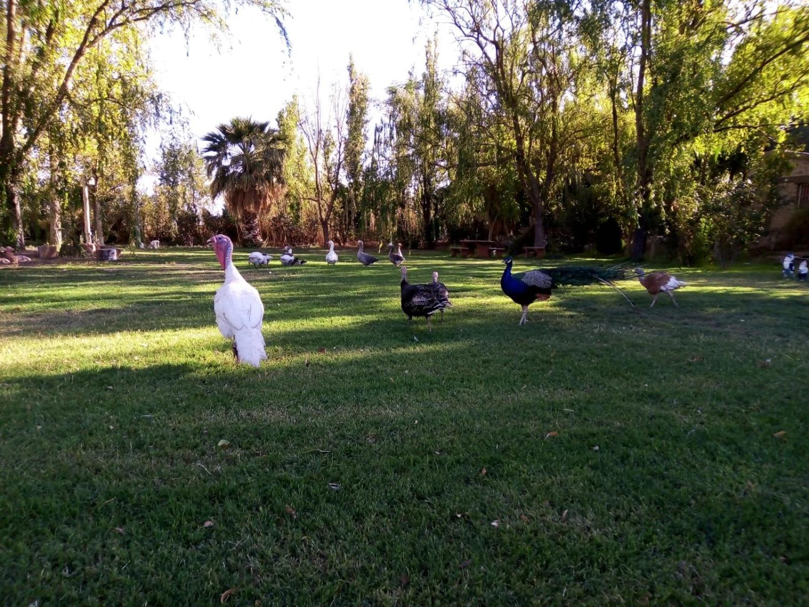 Holiday home De Campo Secretos De La Naturaleza San Juan