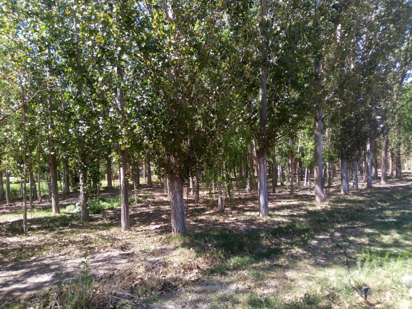 De Campo Secretos De La Naturaleza *
